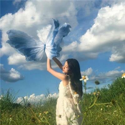 少数意见