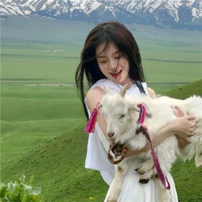 百词莫辩